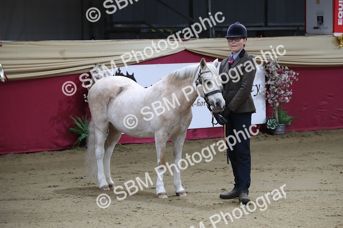 SBM_00312 - Class 1a - Area IH Diamond