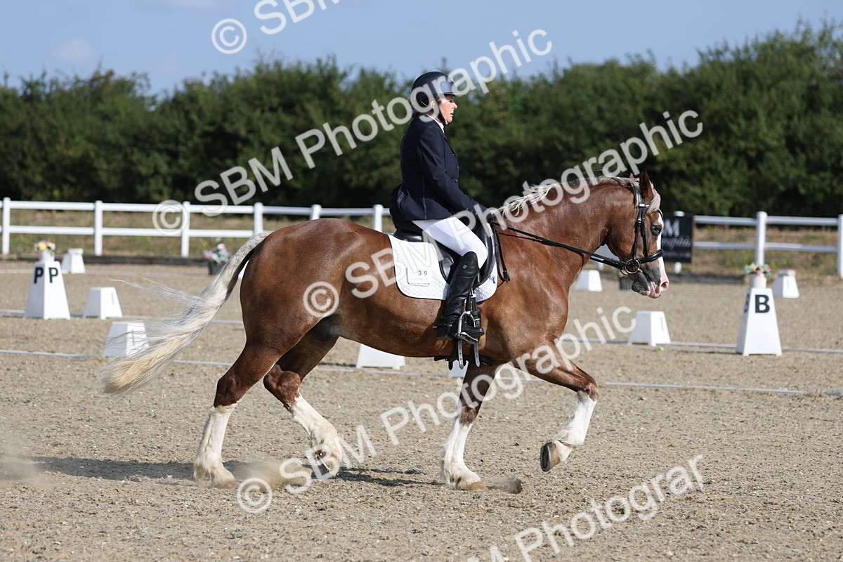 SBM_020243 - Class 21 - M5 Bronze 9.30.10.34