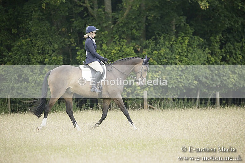 B230619-0682 - Bourne Valley Riding Club Summer Show 23/06/19