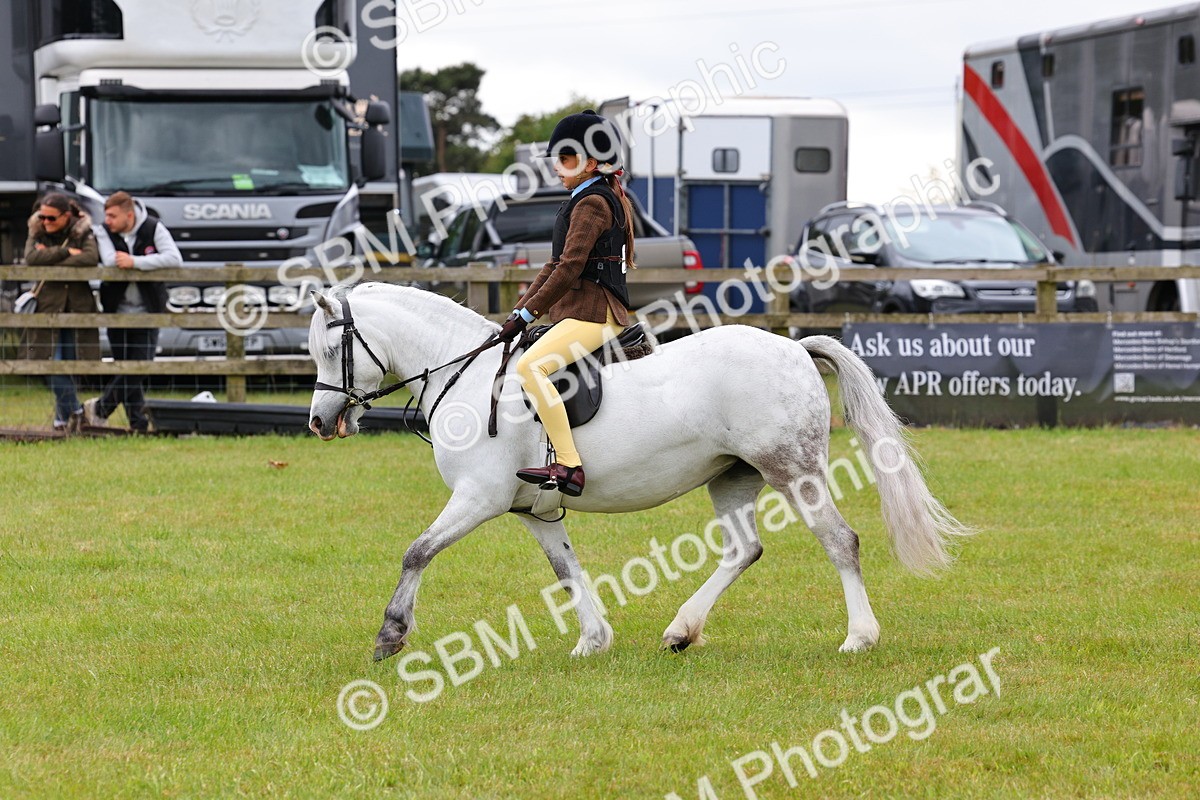 SBM_08699 - Class 42-43 - LIHS BSPS Heritage Working Sports Pony