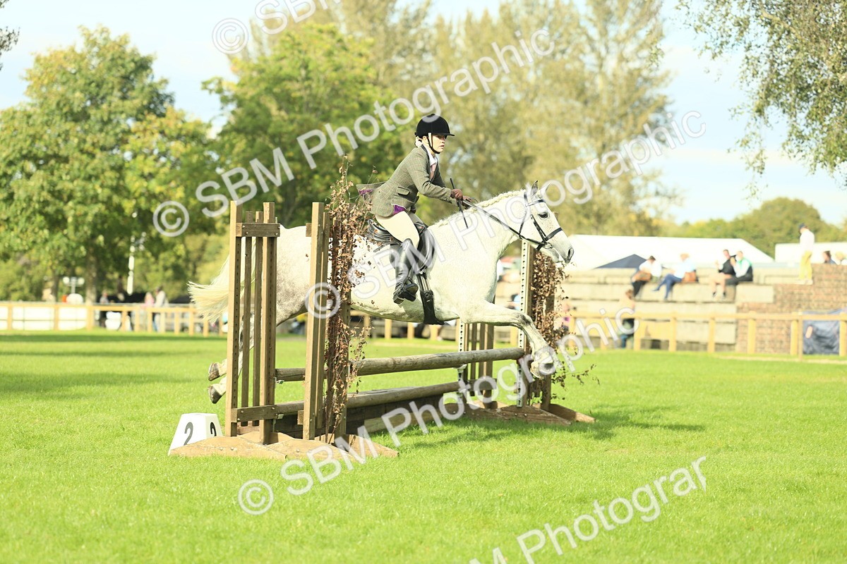 SBM_50634 - S33 - Working Hunter & Working Show Horse