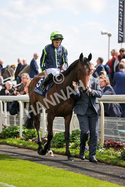 yr11052022r4-16 - Race 4 3.35pm Tattersalls Musidora Stakes