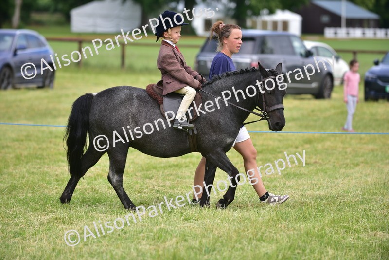 20260614-3630 - Class 15 - Prettiest Mare