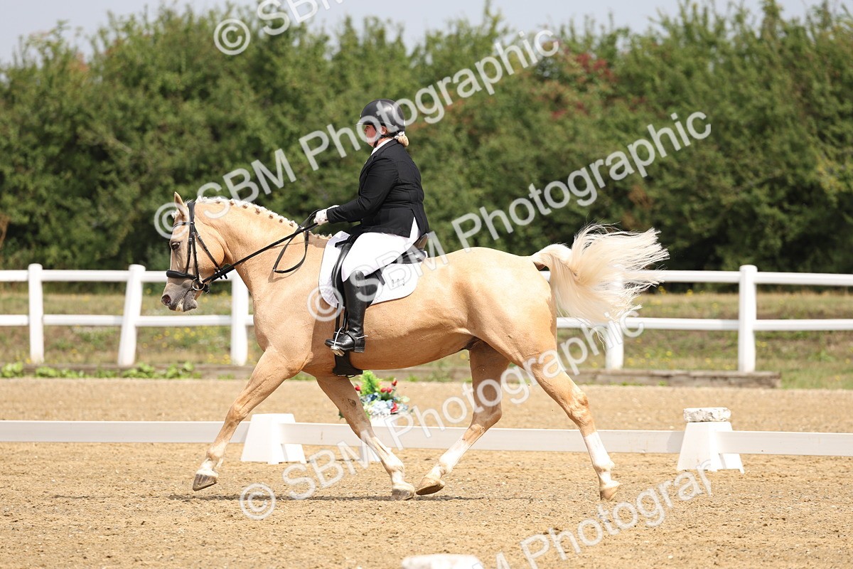 SBM_005822 - Class 6 - Novice 6 - 10.26-11.29