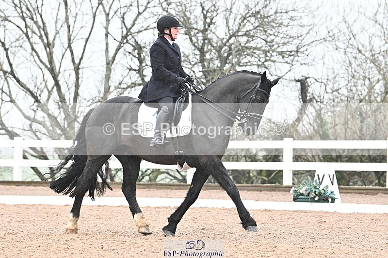 250215-103207-03045 - 244-Suzanne.Clark-Ballinamurra.Billy