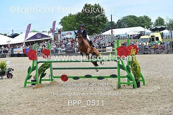 BPP_0511 - RHS 2019 Selection - *Just some random spectator shots so Lucky Dip if you are there!
