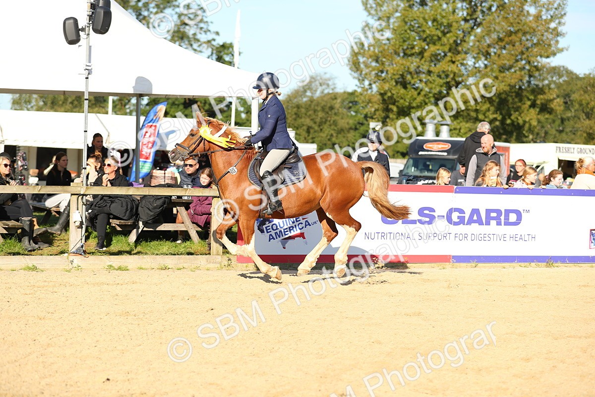 SBM_14959 - J32 - Senior 70cm Championship