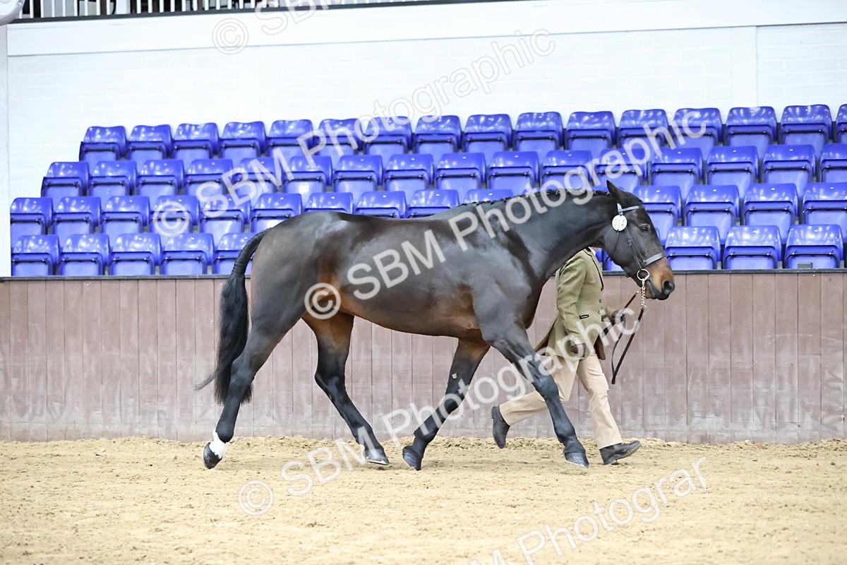 SBM_5613 - Class 40 - RESS In Hand Qualifier