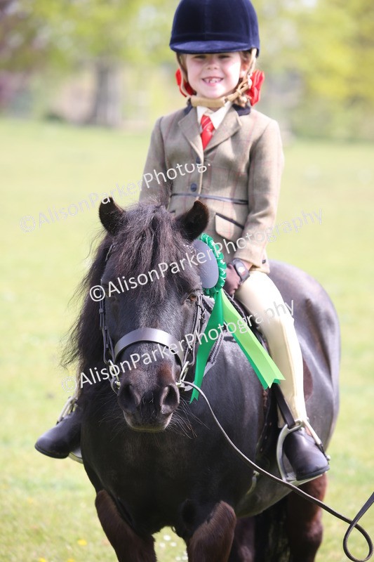 20260426-2627 - Class 31 - Leading Rein