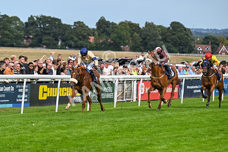 300826-Race 3-Pivotal Voyage-0160 - Race 3 2.50pm Churchill Tyres EBF Restricted Maiden Fillies' Stakes