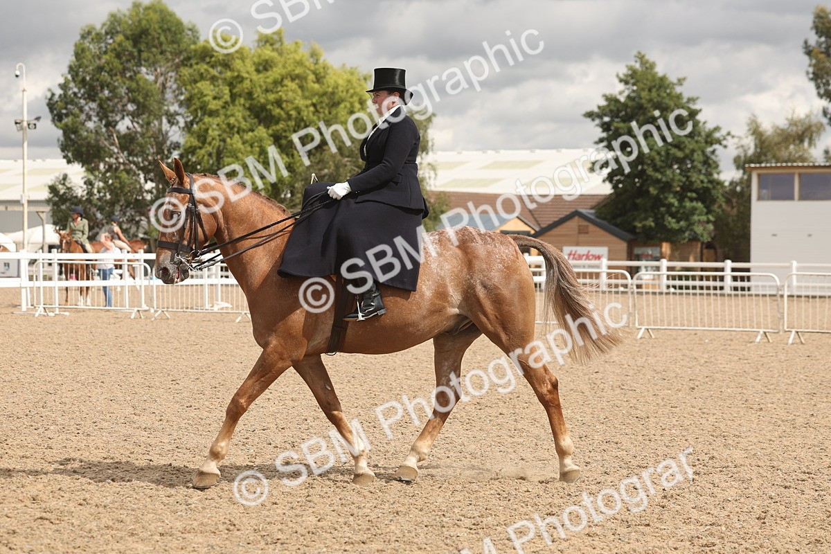 SBM_06346 - Class 22 - SSA - Equitation