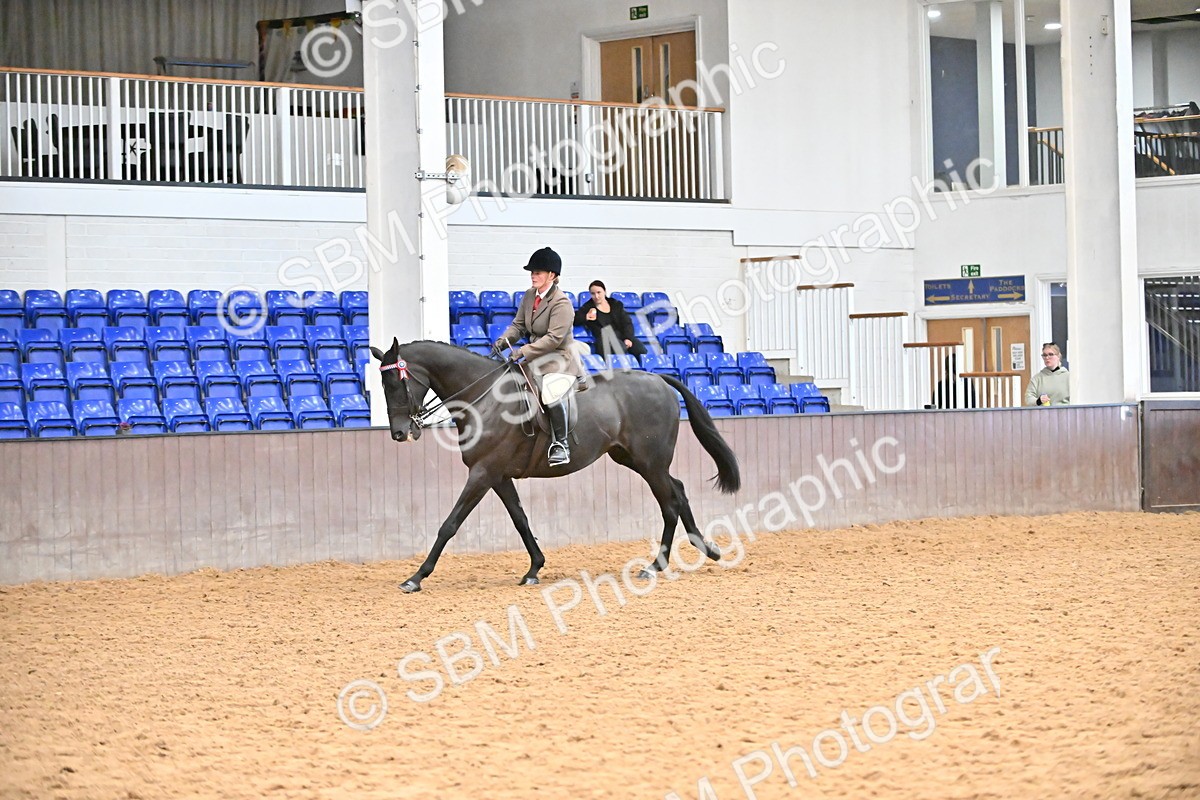 SBM_001932 - Class 25 - Tattersalls ROR Amateur Ridden