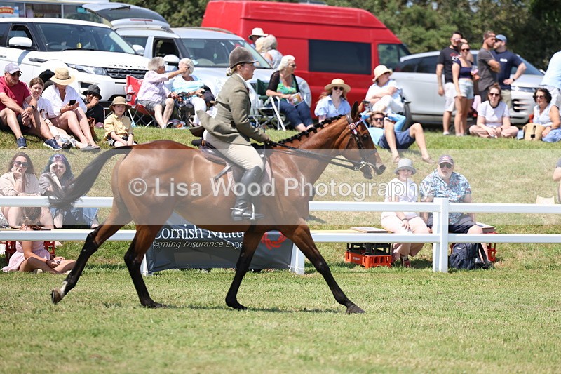 3E7A9381 - Class 12: Open Racehorse to Show Horse