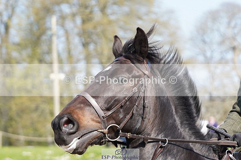 250420A-100728-00239 - Cls 02 70cm