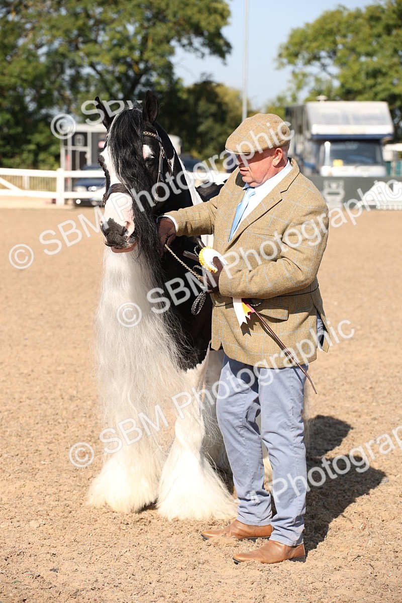 SBM_01564 - Class 15 IH Coloured