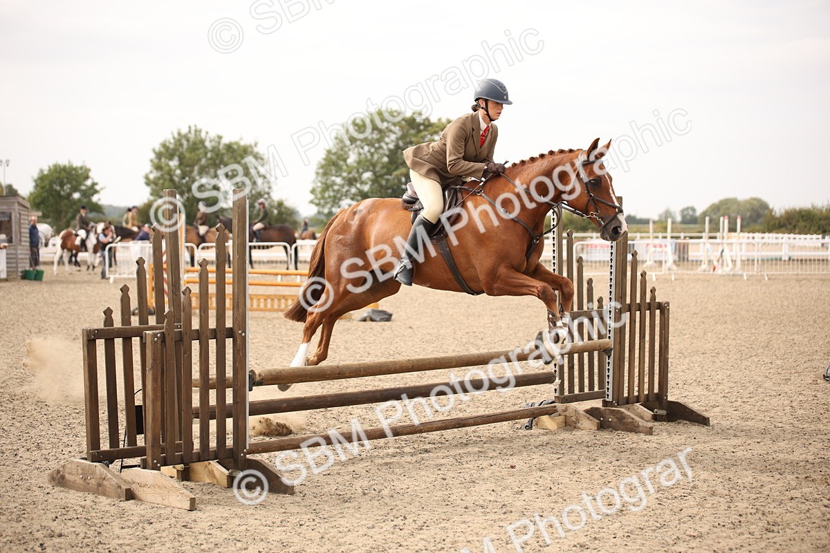 SBM_17079 - Class 409b - Working Veteran 80cm (20+)