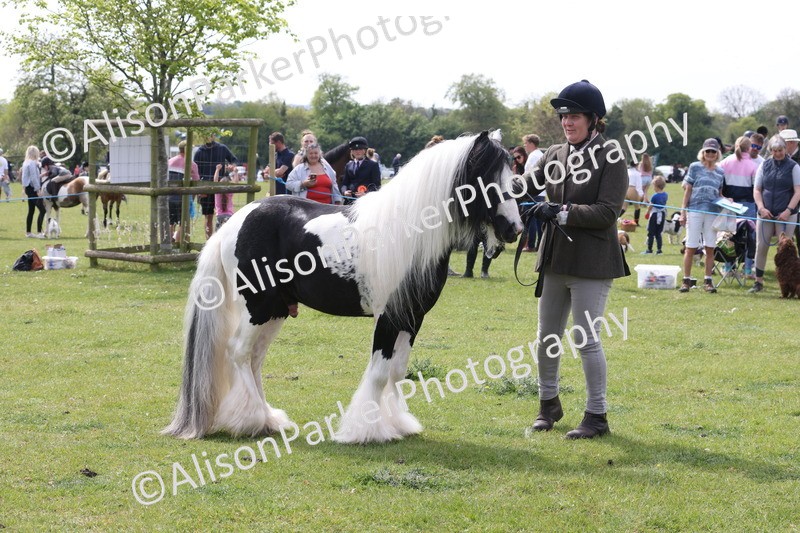 20260426-3350 - Class 27 - Coloured Horses and Ponies