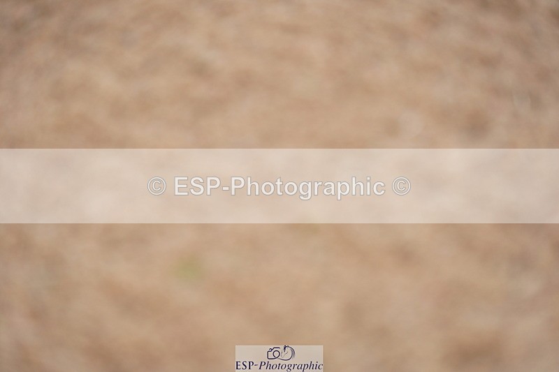 240317A-161348-07913 - Cls 29 Snr Foxhunter