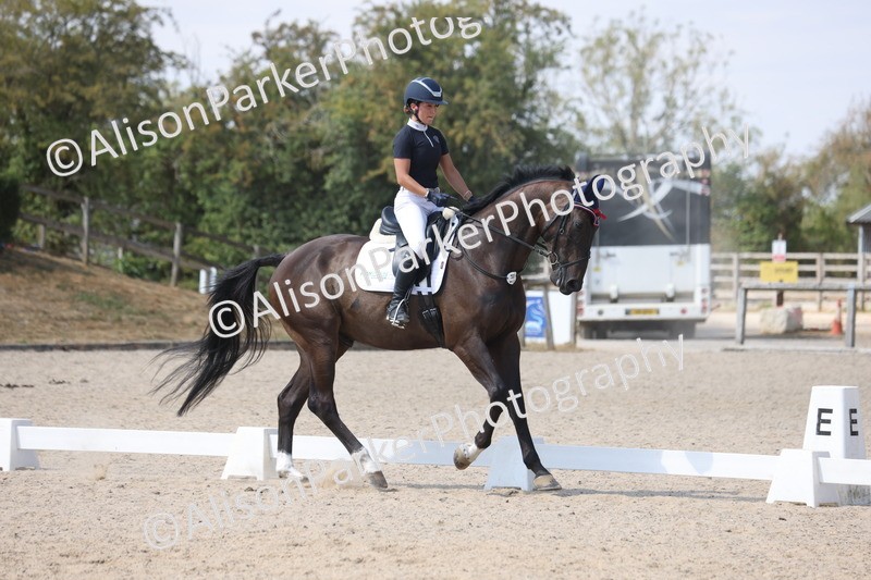 20260815-0951 - Class 5 - Novice 1