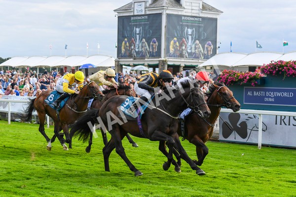 280723-Race 3-Loose Cannon-0302 - Race 3 6.05pm Ire-Incentive, It Pays To Buy Irish EBF Restricted Novice Stakes