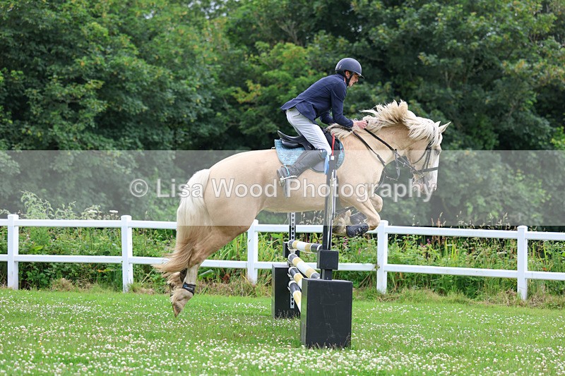 3E7A3875 - Class 6: Hawkins Motors Senior 1.00m Derby