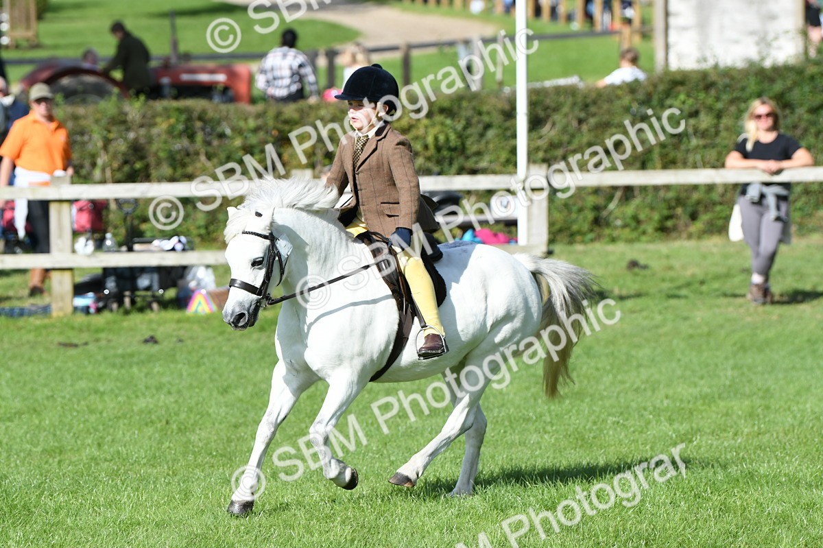 SBM_50311 - S21 - Novice & Newcomers 1st Ridden Pony