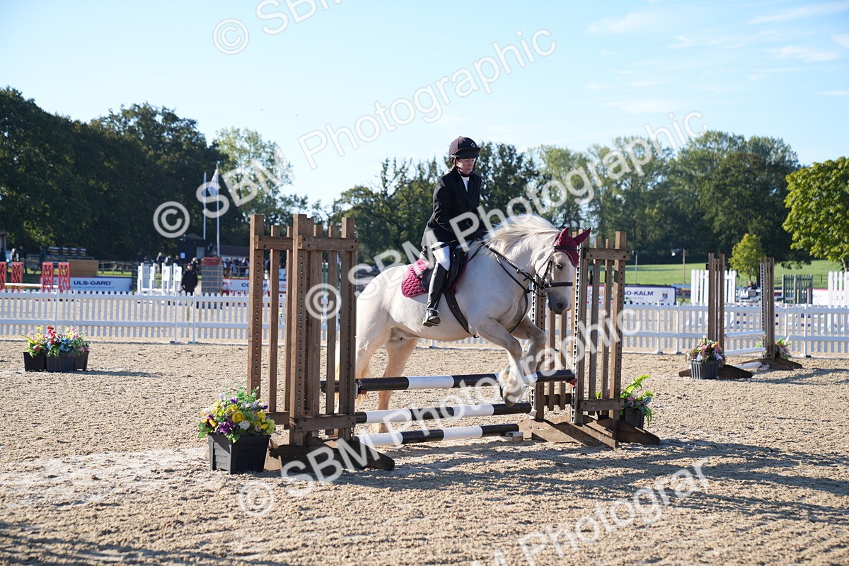 SBM_14072 - J59 - Clear Round - 65cm