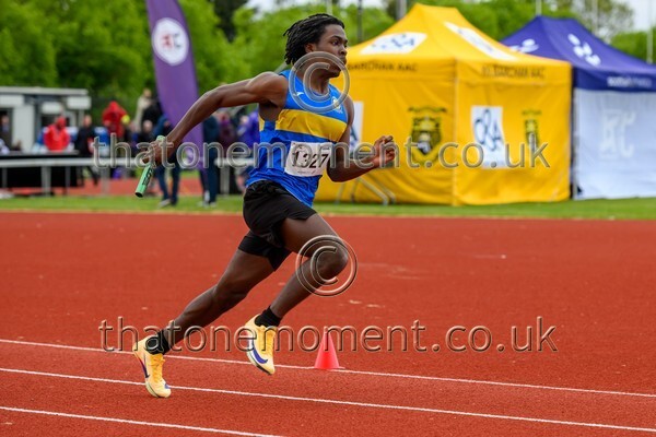 Natopener26-918857 - Mixed Relay