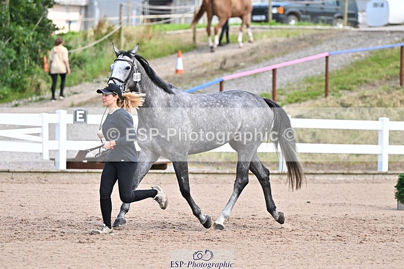 240718A-105252-01270 - Trot Up 12pm to 1pm