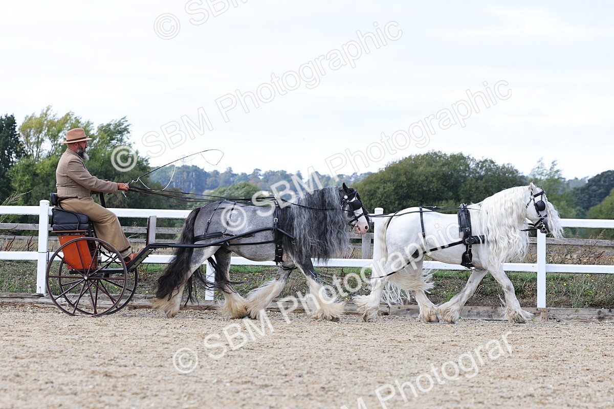 SBM_001155 - Class 16 - Pairs ,Multiples and Tandems