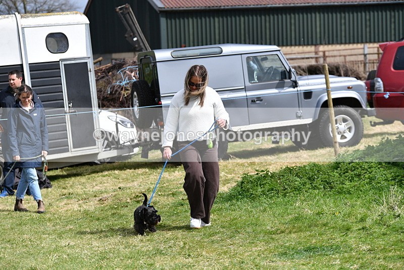 WJ5_0408 - Class 7 Best Terrier