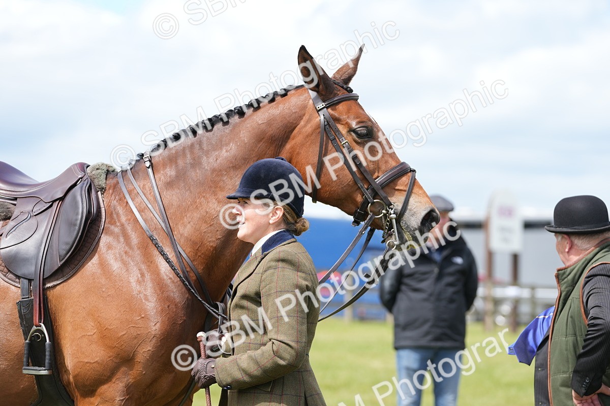 SBM_15032 - Class 100-102 - RIHS Working Hunter