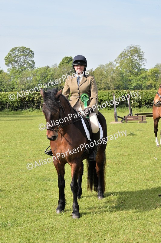 20260426-0951 - Class 18 - Novice Showing
