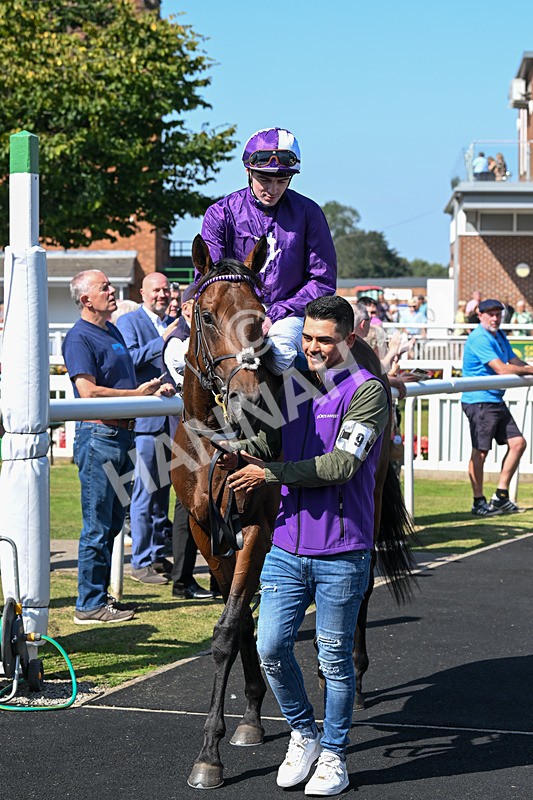 300824-Race 1-Tuscan Hills-5654 - Race 1