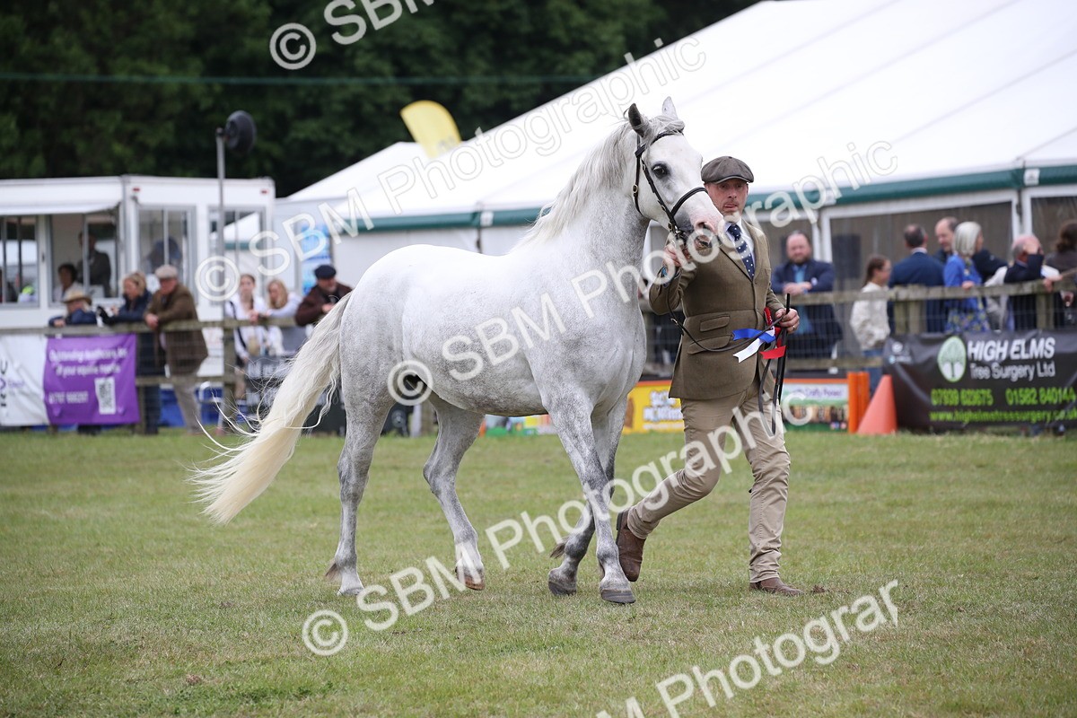 SBM_09849 - Ch 50 - Price Family Supreme In Hand