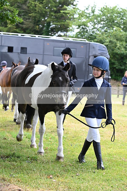 WJ7_6554 - Class 5 Handsome Gelding in hand