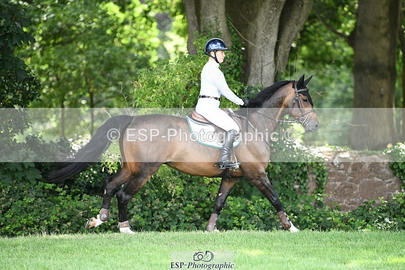 250703A-105953-00608 - Cls 11 5 Year Old