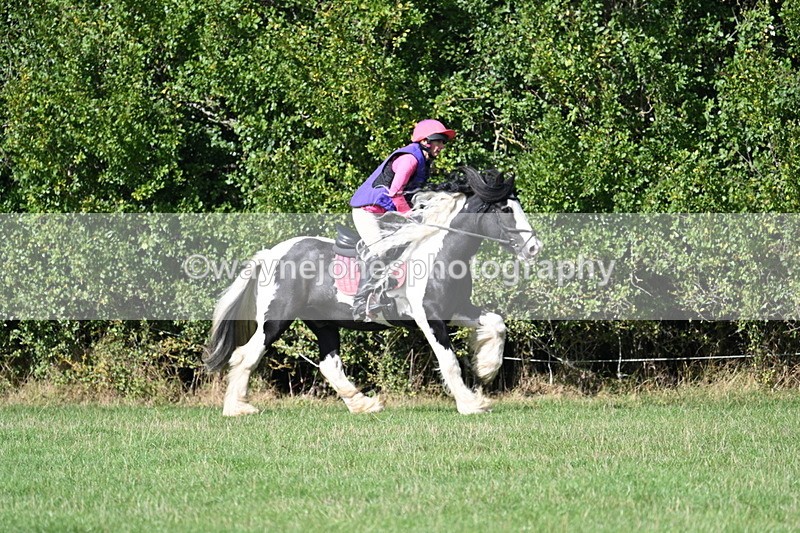 WJ7_0162 - Time 12:53 to 13:03