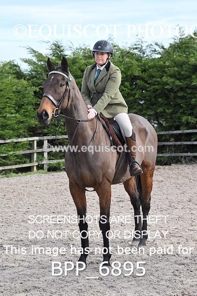BPP_6895 - RING 1  (RIDDEN HORSES / IN HAND / VETERAN ETC)