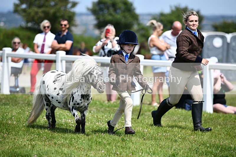 DSC_8017 - Class 66: Child Handler 10 years and under