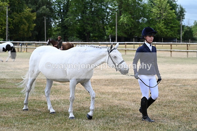 WJ7_1432 - Class 4 Prettiest Mare up to 14.2hh in hand