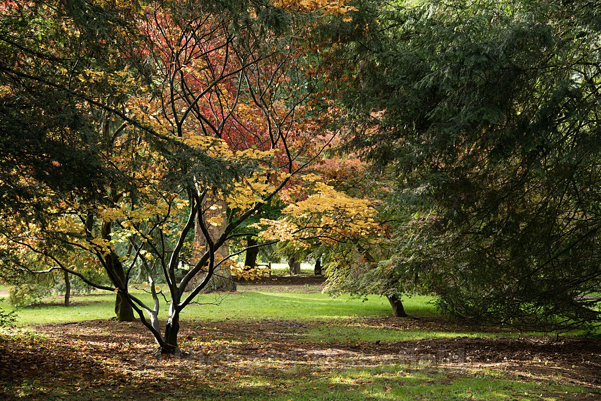  - Autumn