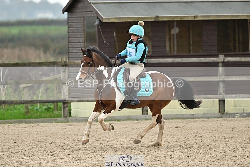 241110-140157-01011 - 60-65cm Arena Eventing