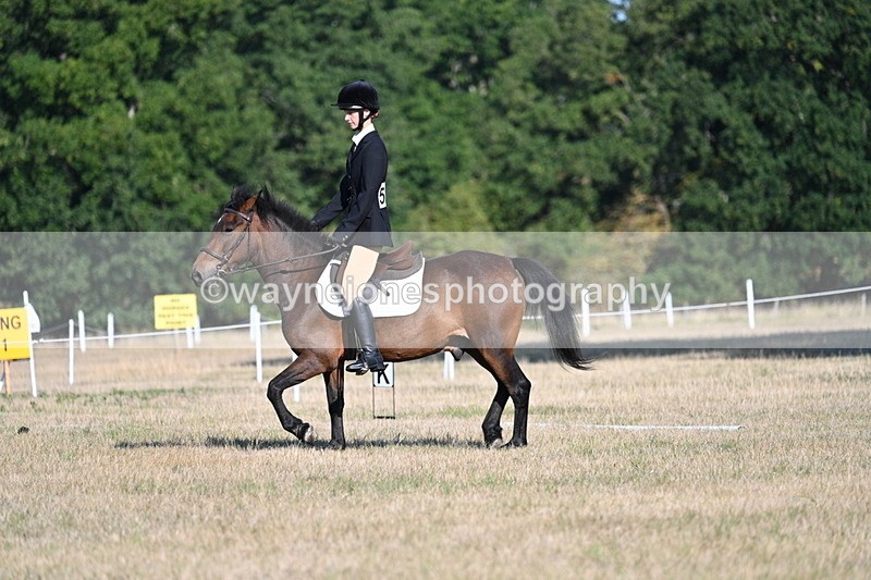 WJ7_8520 - Time 09:00 to 09:24