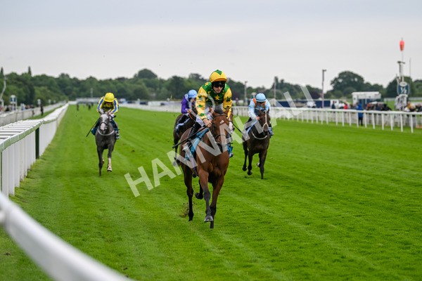 120724-Race 3-Royalty Bay-5975 - Race 3 3.15pm William Hill Keep Your Raceday Positive Irish EBF Fillies' Novice Stakes