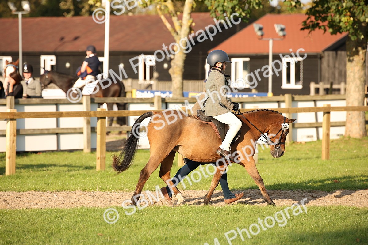 SBM_54394 - S27 - Mature Veteran - Ridden