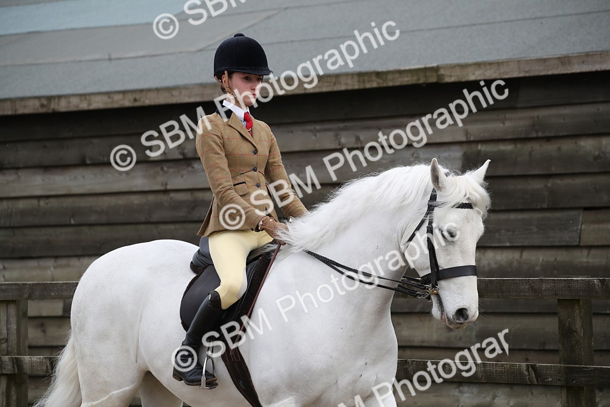 SBM_007137 - Class 10-13 - RIHS Small Large Breeds
