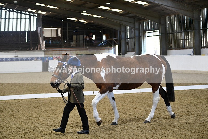 WJ5_3825 - Class 5 In Hand Veterans