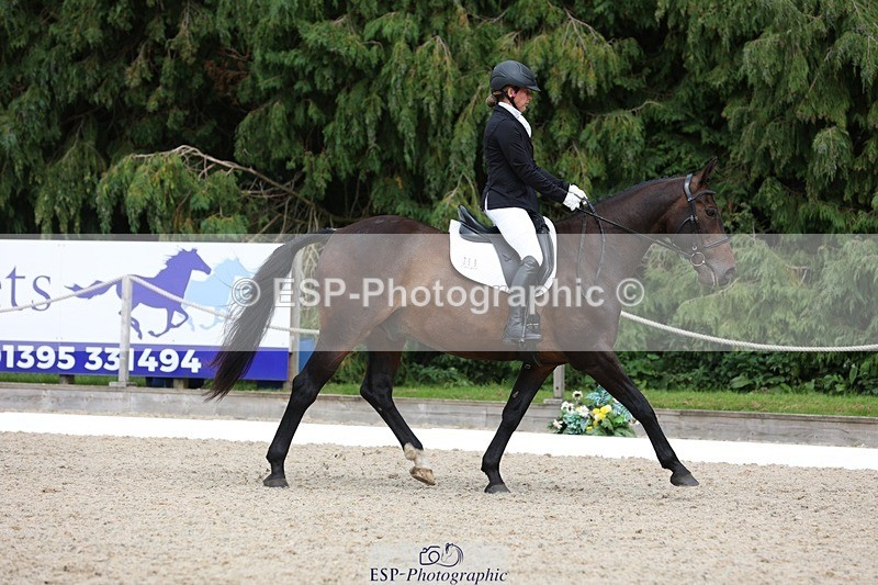 230812-153202-05159 - Cls 5 Novice Bronze 15.00 to End