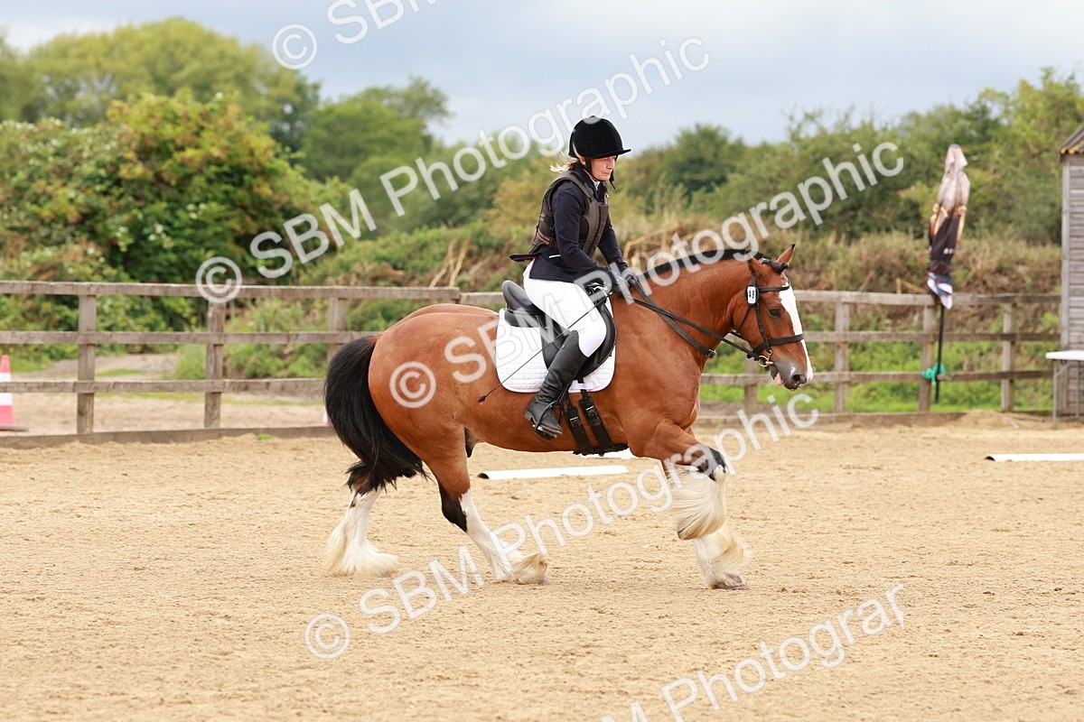 SBM_002233 - Prelim 1